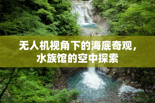 无人机视角下的海底奇观，水族馆的空中探索