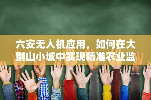 六安无人机应用，如何在大别山小城中实现精准农业监测？