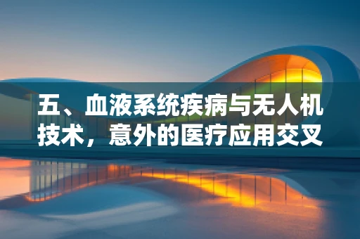 五、血液系统疾病与无人机技术，意外的医疗应用交叉点？