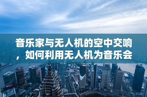 音乐家与无人机的空中交响，如何利用无人机为音乐会增添新维度？