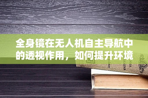 全身镜在无人机自主导航中的透视作用，如何提升环境感知的准确性？