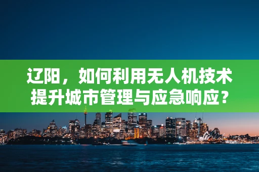 辽阳，如何利用无人机技术提升城市管理与应急响应？