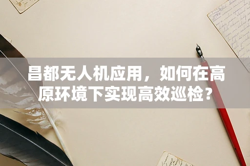 昌都无人机应用，如何在高原环境下实现高效巡检？