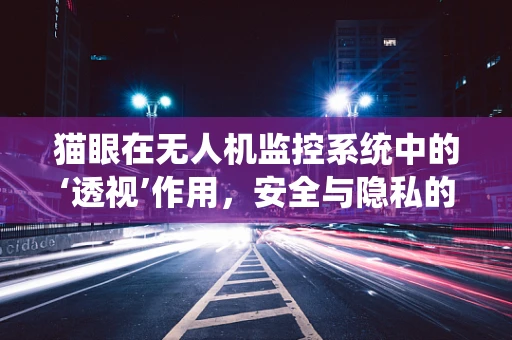 猫眼在无人机监控系统中的‘透视’作用，安全与隐私的微妙平衡？