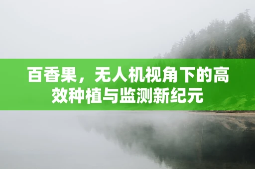 百香果，无人机视角下的高效种植与监测新纪元