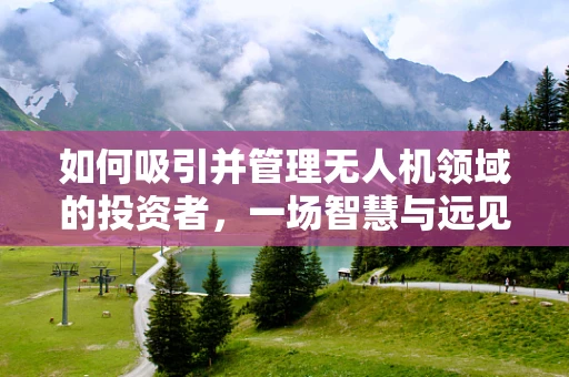 如何吸引并管理无人机领域的投资者，一场智慧与远见的较量