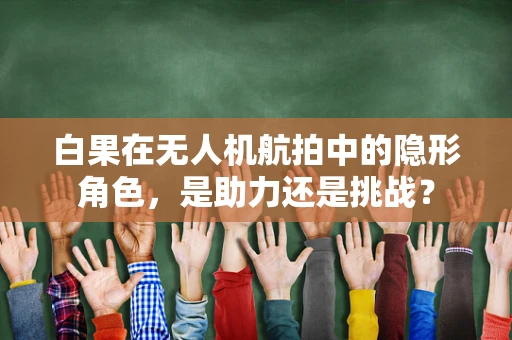 白果在无人机航拍中的隐形角色，是助力还是挑战？