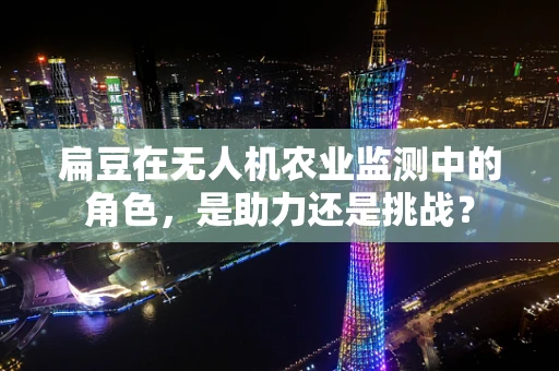 扁豆在无人机农业监测中的角色，是助力还是挑战？