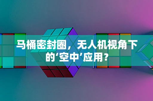 马桶密封圈，无人机视角下的‘空中’应用？