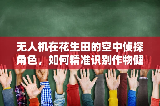 无人机在花生田的空中侦探角色，如何精准识别作物健康？