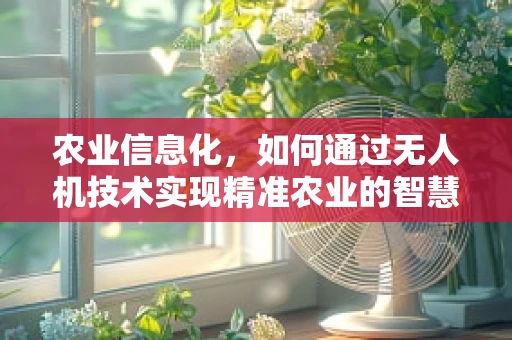 农业信息化，如何通过无人机技术实现精准农业的智慧之眼？