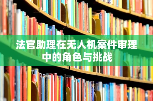 法官助理在无人机案件审理中的角色与挑战