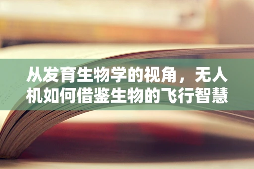 从发育生物学的视角，无人机如何借鉴生物的飞行智慧？
