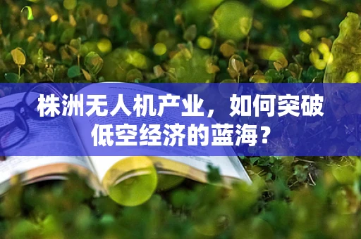 株洲无人机产业，如何突破低空经济的蓝海？
