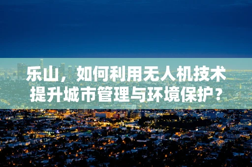 乐山，如何利用无人机技术提升城市管理与环境保护？