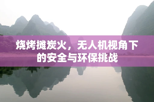 烧烤摊炭火，无人机视角下的安全与环保挑战