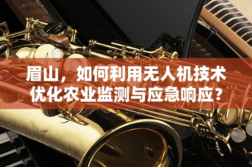 眉山，如何利用无人机技术优化农业监测与应急响应？