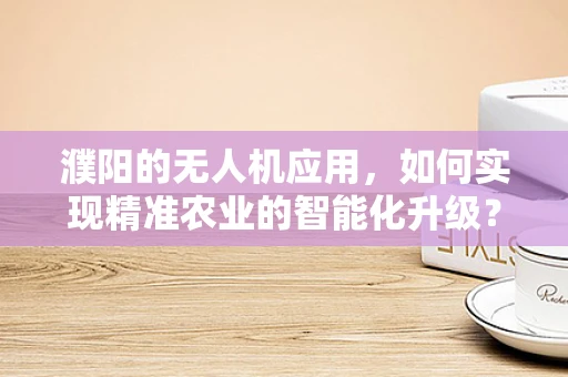 濮阳的无人机应用，如何实现精准农业的智能化升级？