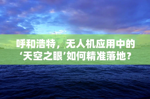 呼和浩特，无人机应用中的‘天空之眼’如何精准落地？