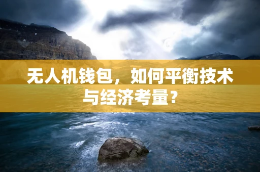 无人机钱包，如何平衡技术与经济考量？