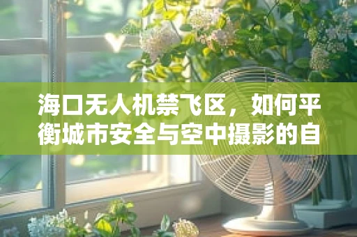 海口无人机禁飞区，如何平衡城市安全与空中摄影的自由？