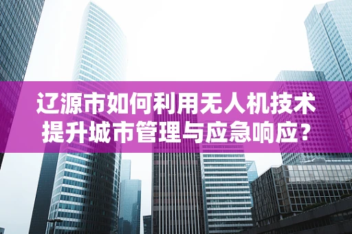 辽源市如何利用无人机技术提升城市管理与应急响应？