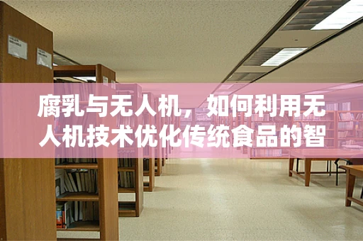 腐乳与无人机，如何利用无人机技术优化传统食品的智能监控与运输？