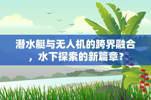 潜水艇与无人机的跨界融合，水下探索的新篇章？