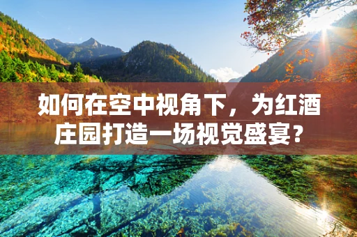 如何在空中视角下，为红酒庄园打造一场视觉盛宴？
