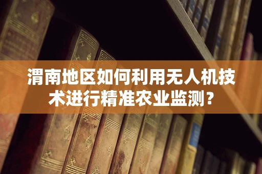 渭南地区如何利用无人机技术进行精准农业监测？