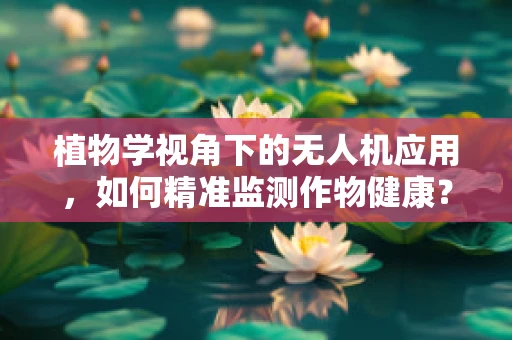 植物学视角下的无人机应用，如何精准监测作物健康？