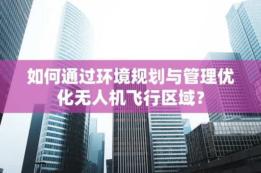 如何通过环境规划与管理优化无人机飞行区域？