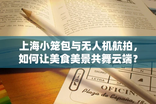 上海小笼包与无人机航拍，如何让美食美景共舞云端？