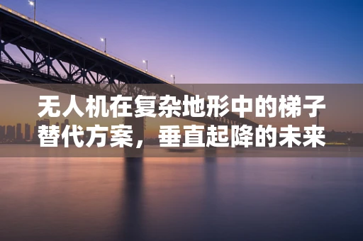 无人机在复杂地形中的梯子替代方案，垂直起降的未来？
