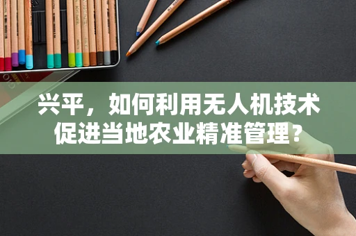 兴平，如何利用无人机技术促进当地农业精准管理？