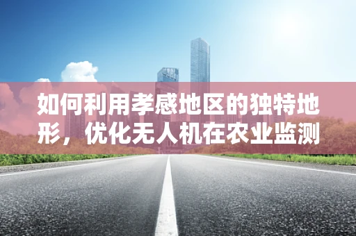 如何利用孝感地区的独特地形，优化无人机在农业监测中的应用？