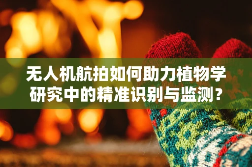 无人机航拍如何助力植物学研究中的精准识别与监测？