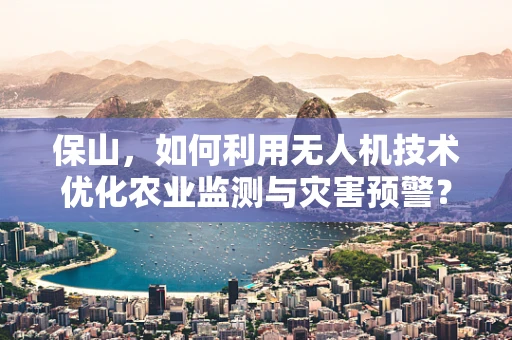 保山，如何利用无人机技术优化农业监测与灾害预警？