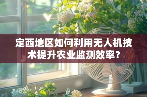 定西地区如何利用无人机技术提升农业监测效率？
