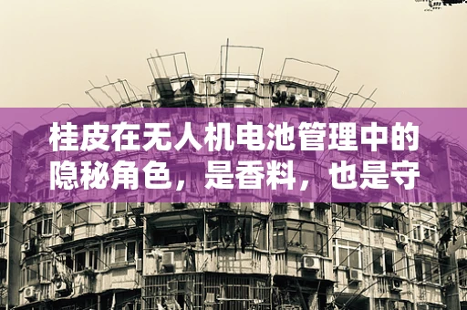 桂皮在无人机电池管理中的隐秘角色，是香料，也是守护者？
