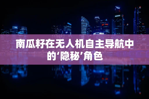 南瓜籽在无人机自主导航中的‘隐秘’角色