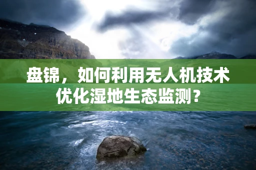 盘锦，如何利用无人机技术优化湿地生态监测？