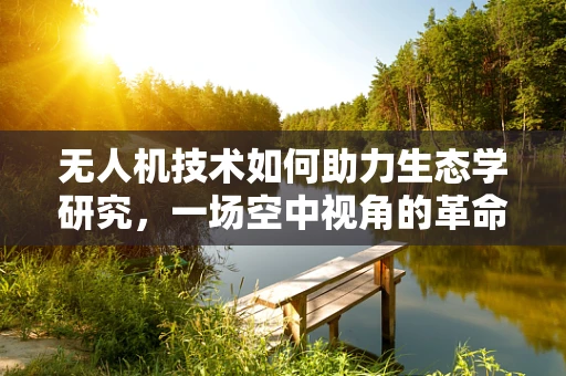 无人机技术如何助力生态学研究，一场空中视角的革命？