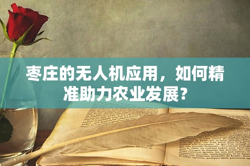 枣庄的无人机应用，如何精准助力农业发展？
