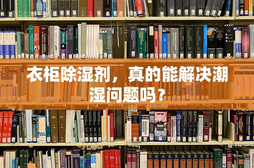 衣柜除湿剂，真的能解决潮湿问题吗？