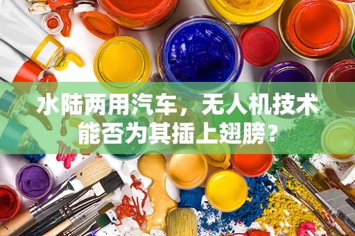 水陆两用汽车，无人机技术能否为其插上翅膀？
