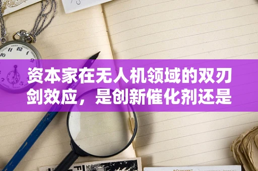 资本家在无人机领域的双刃剑效应，是创新催化剂还是风险操控者？