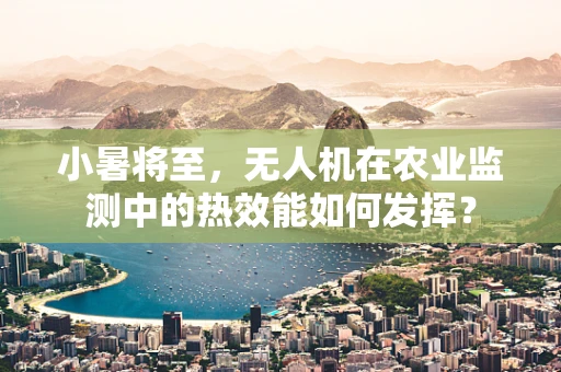小暑将至，无人机在农业监测中的热效能如何发挥？