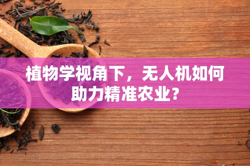 植物学视角下，无人机如何助力精准农业？