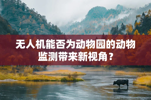 无人机能否为动物园的动物监测带来新视角？